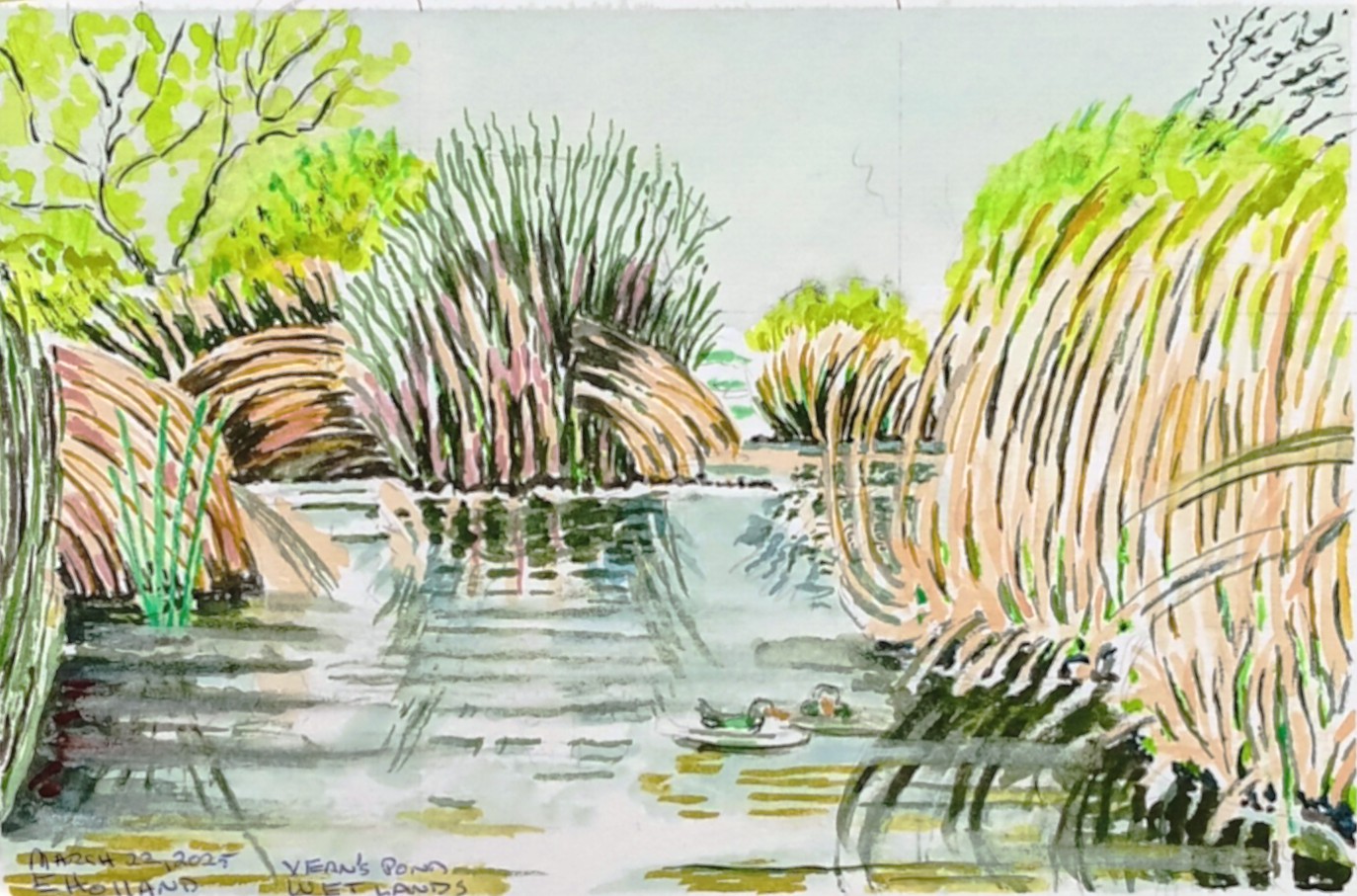 Ed Holland_Vern's Pond